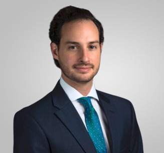 dlv vision dr moises enghelberg